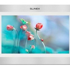 Видеодомофон Slinex SL-10IPT (silver + white)